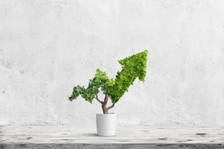 AdobeStock_194117651